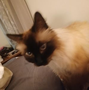 Meet your Posher, Judy